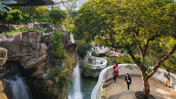 Water spills over rocky ledges, topples into ponds and splits into streams that smoothly flow through the park, providing attractive features at various different levels. Visitors are offered many opportunities to experience the different water features from various view points and positions.